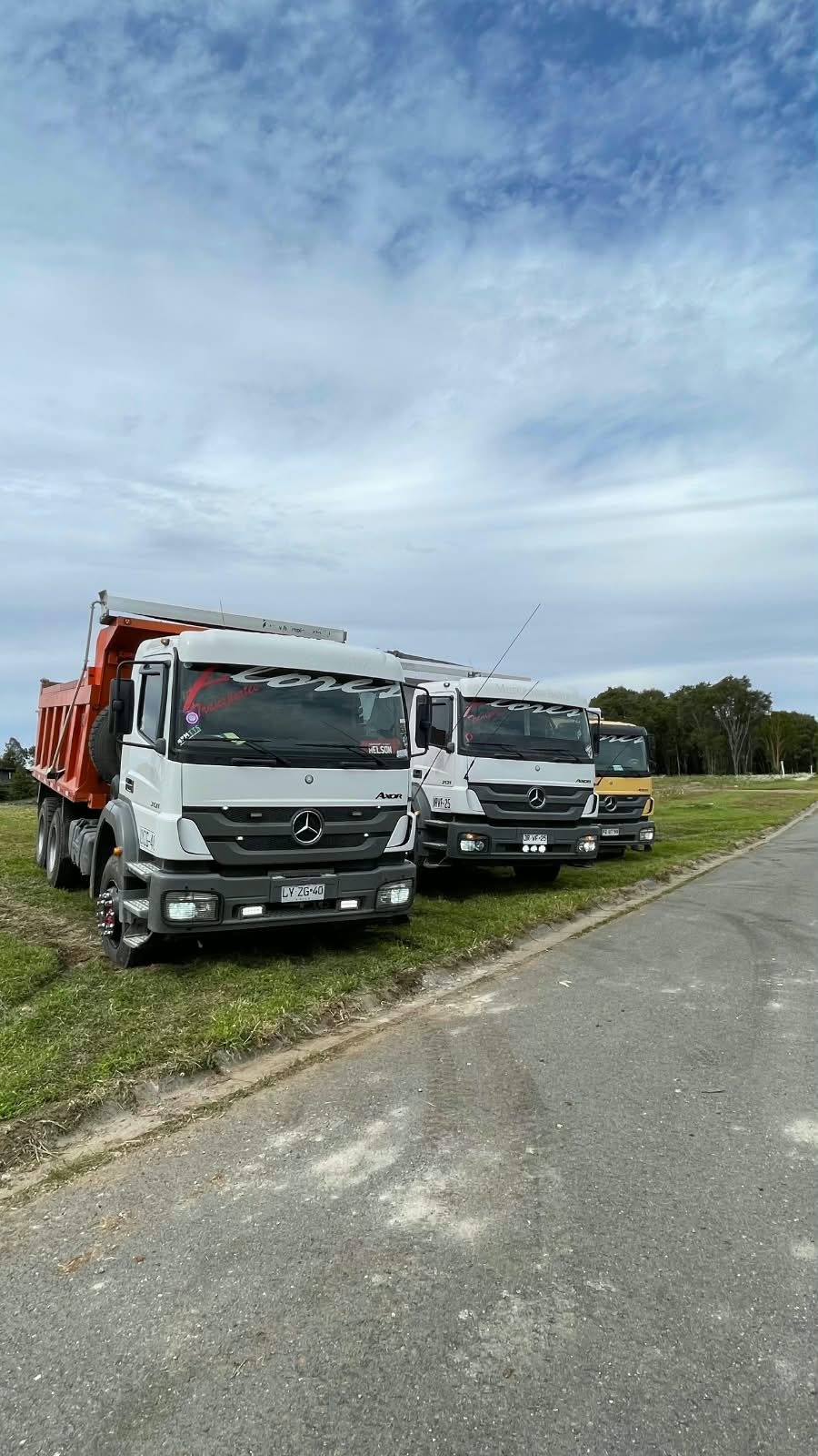 Flota de camiones de Transportes Flores en faena
