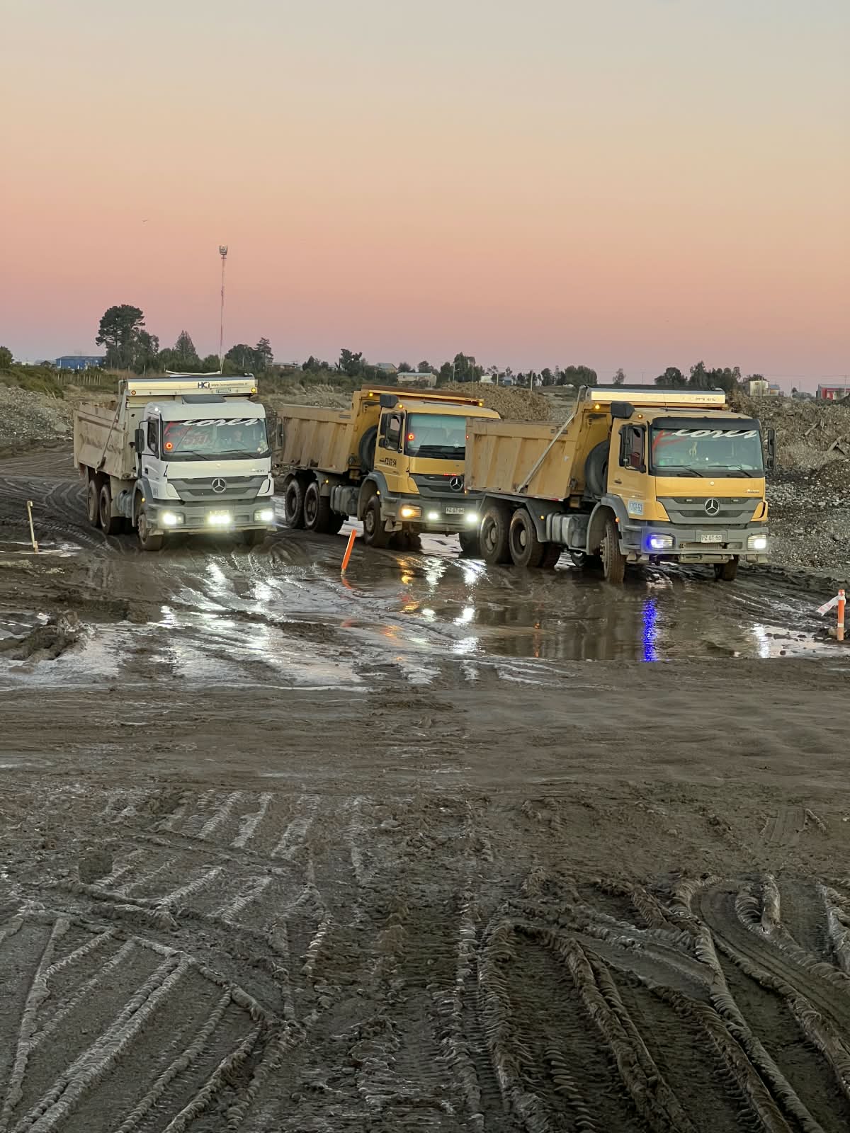 Camiones de Transportes Flores en faena al atardecer