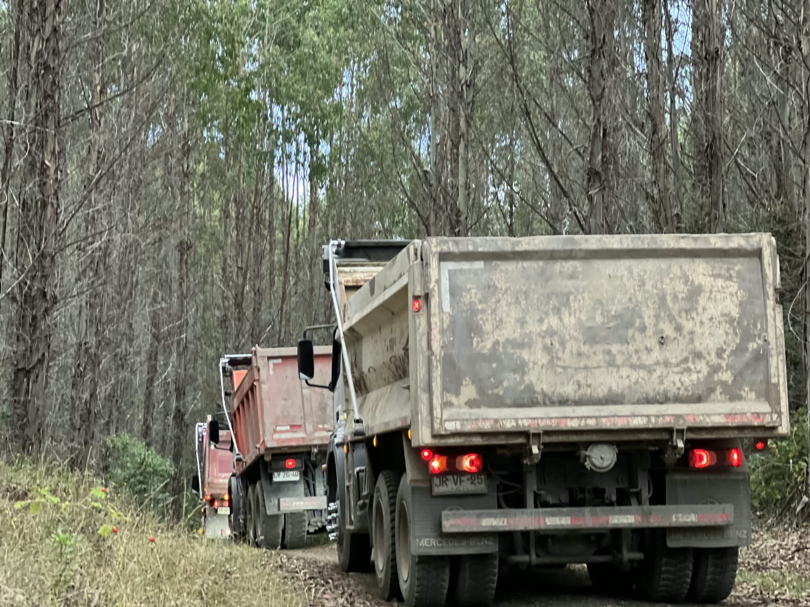 Camiones de Transportes Flores en ruta