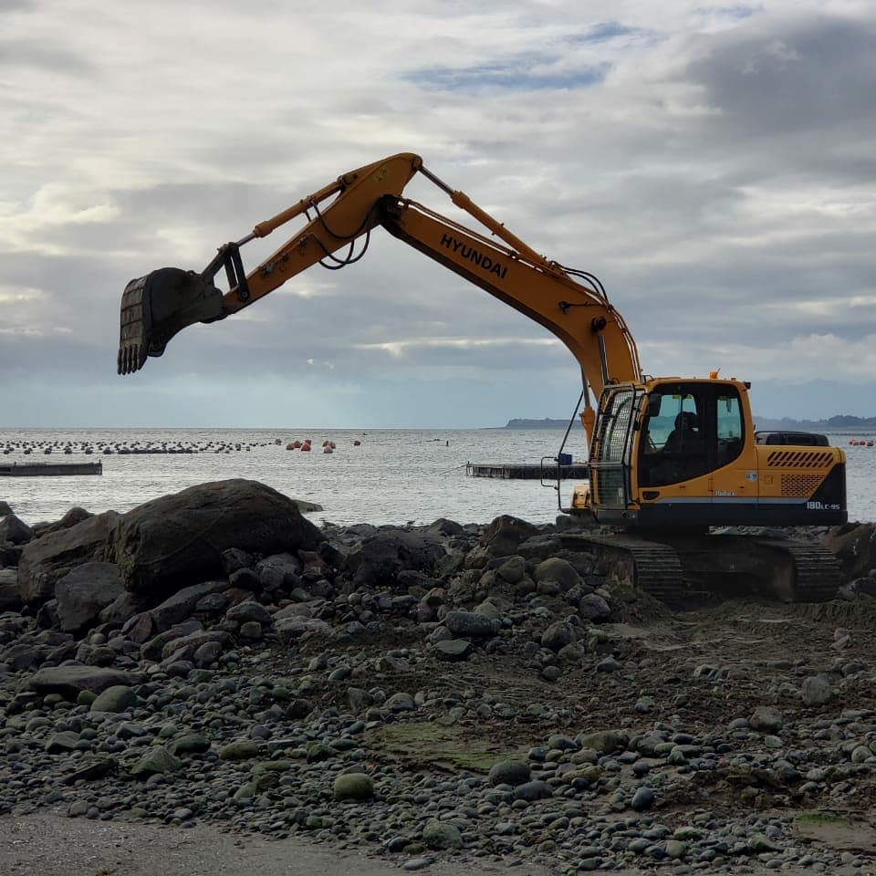 Excavadora de Transportes Flores en movimiento de tierra